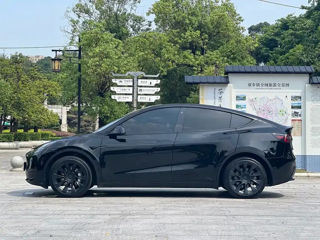 Tesla Model Y — фото 8