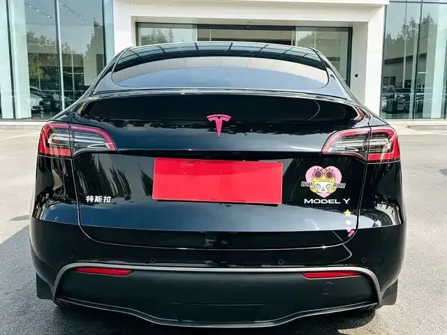 Tesla Model Y — фото 2