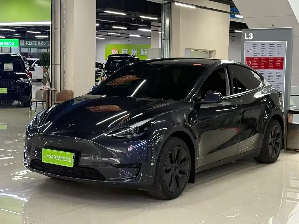 Tesla Model Y — фото 3