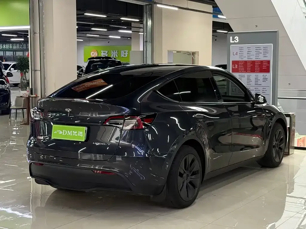 Tesla Model Y — фото 10