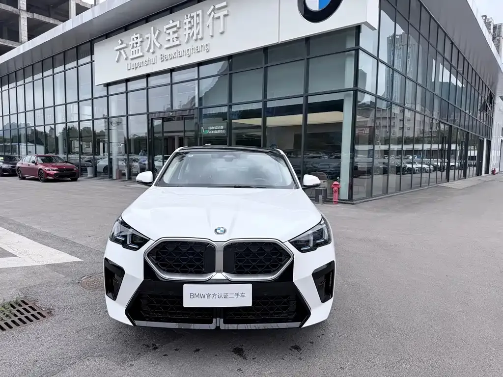 BMW X2 (Import) — фото 1