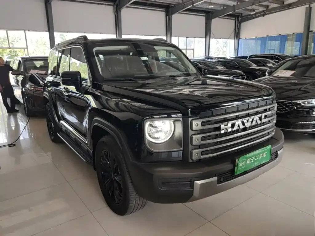 Haval Menglong New Energy — фото 9