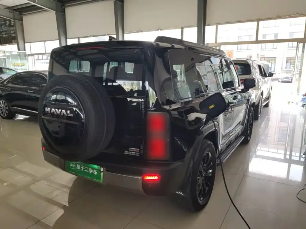 Haval Menglong New Energy — фото 7