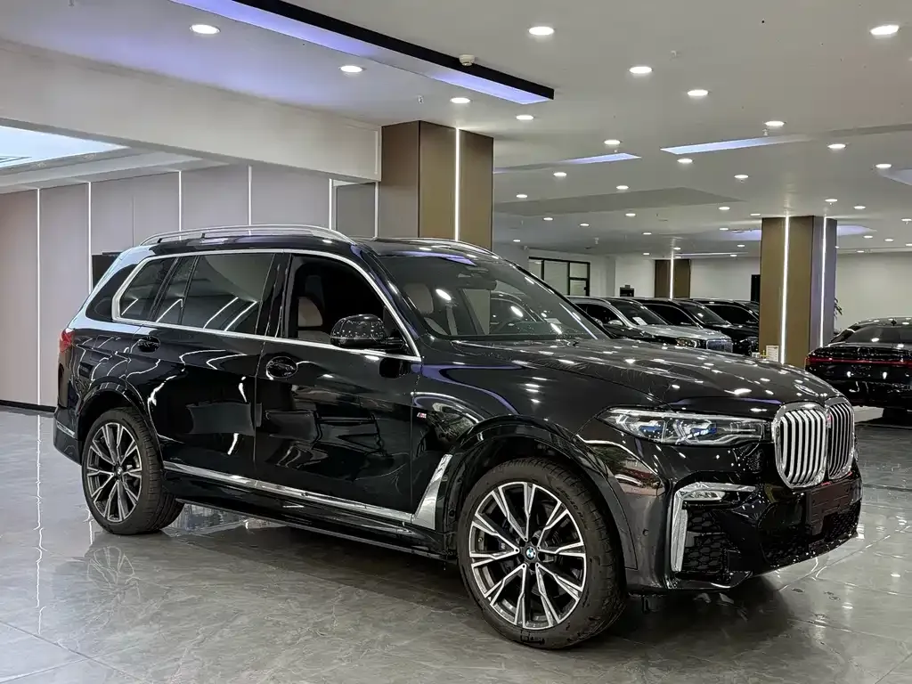 BMW X7 — фото 10