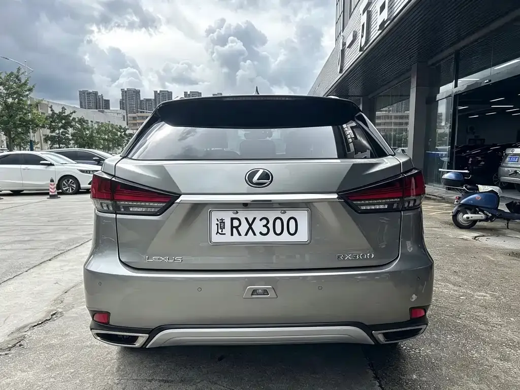 Lexus RX — фото 7