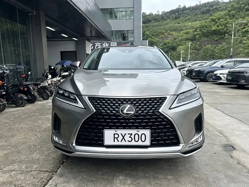 Lexus RX — фото 8