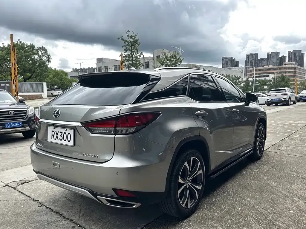 Lexus RX — фото 10