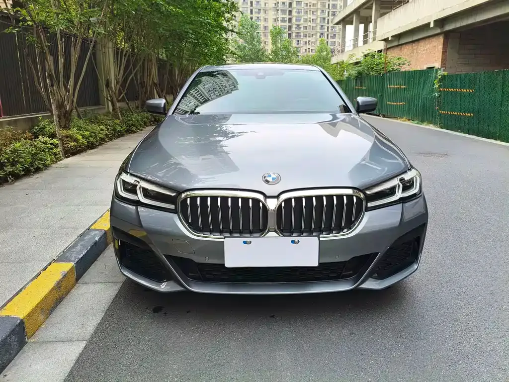 BMW 5 Series (Import) — фото 9