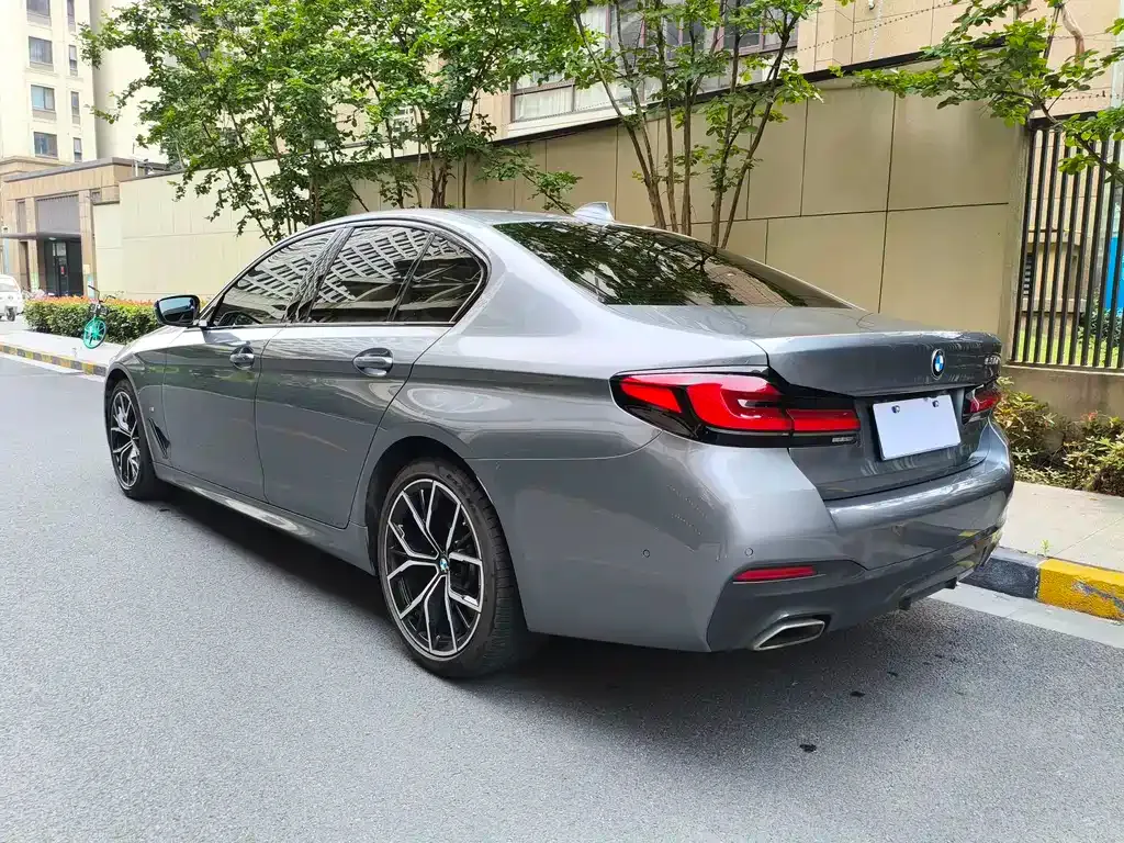 BMW 5 Series (Import) — фото 6