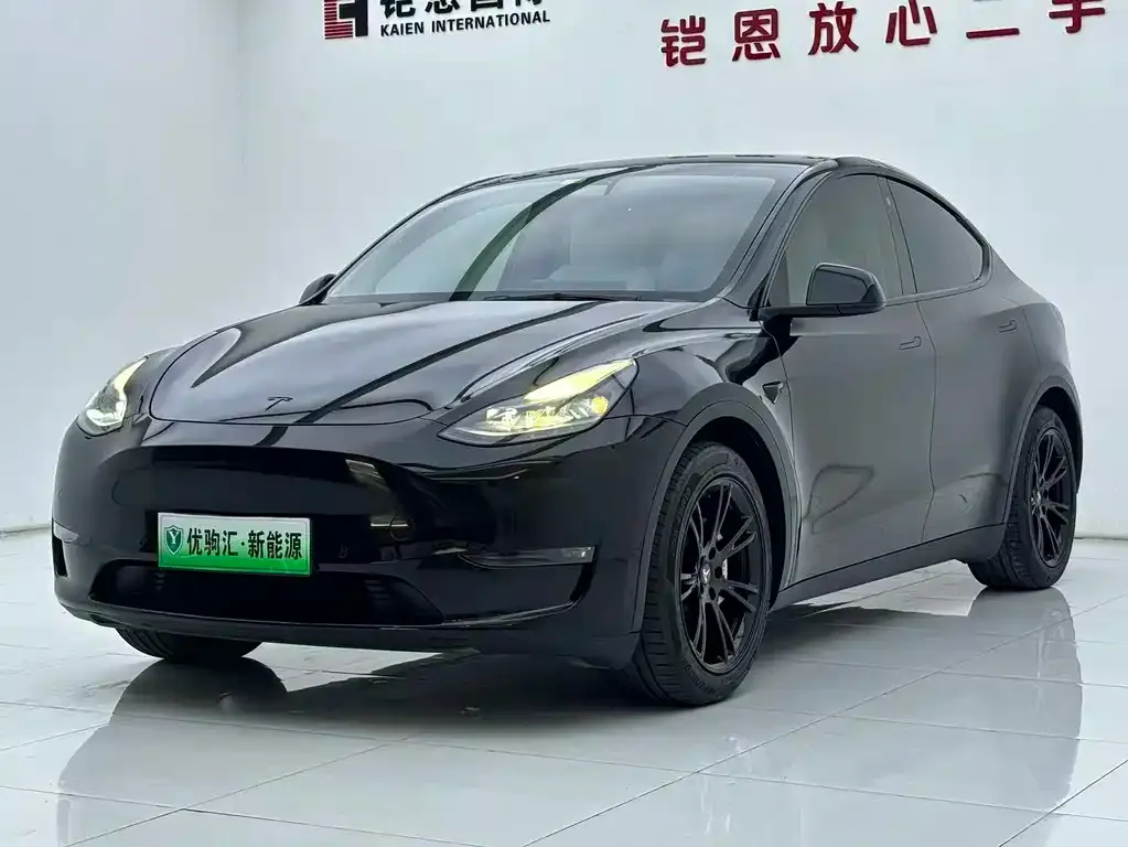 Tesla Model Y — фото 1