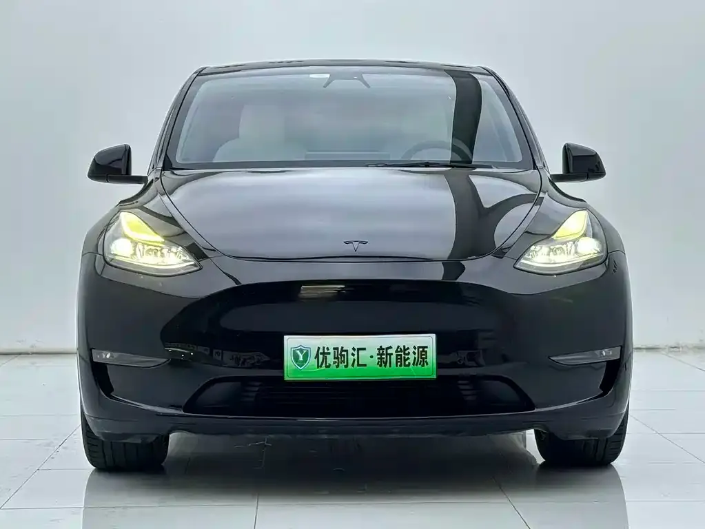 Tesla Model Y — фото 2