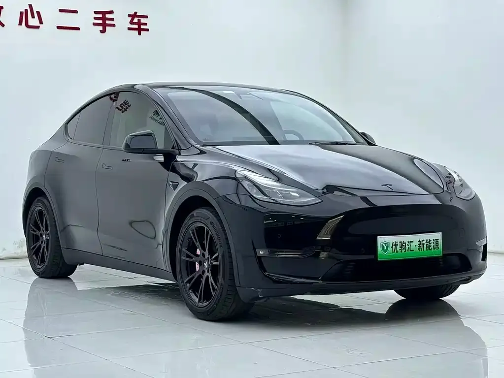 Tesla Model Y — фото 8