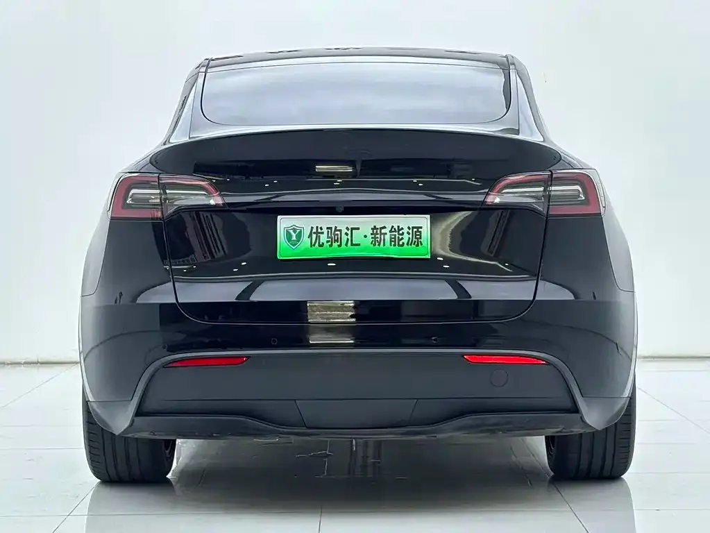Tesla Model Y — фото 9