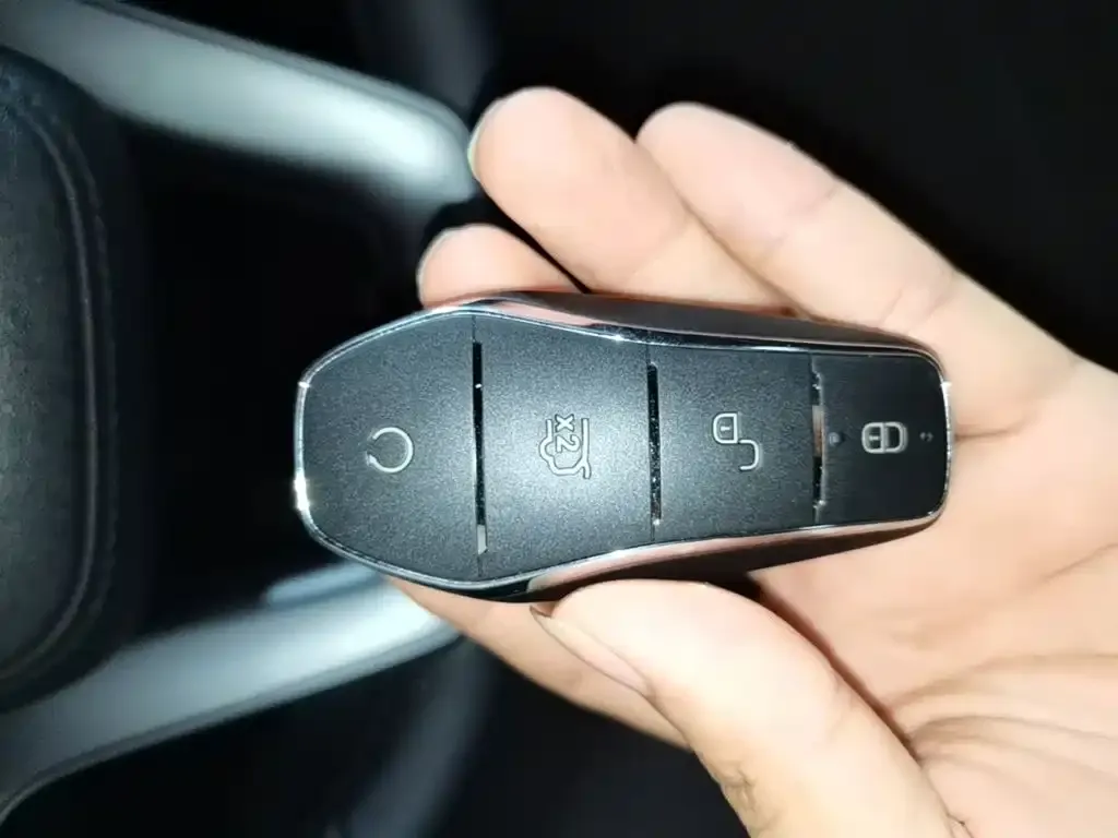 BYD L DM-i — фото 7