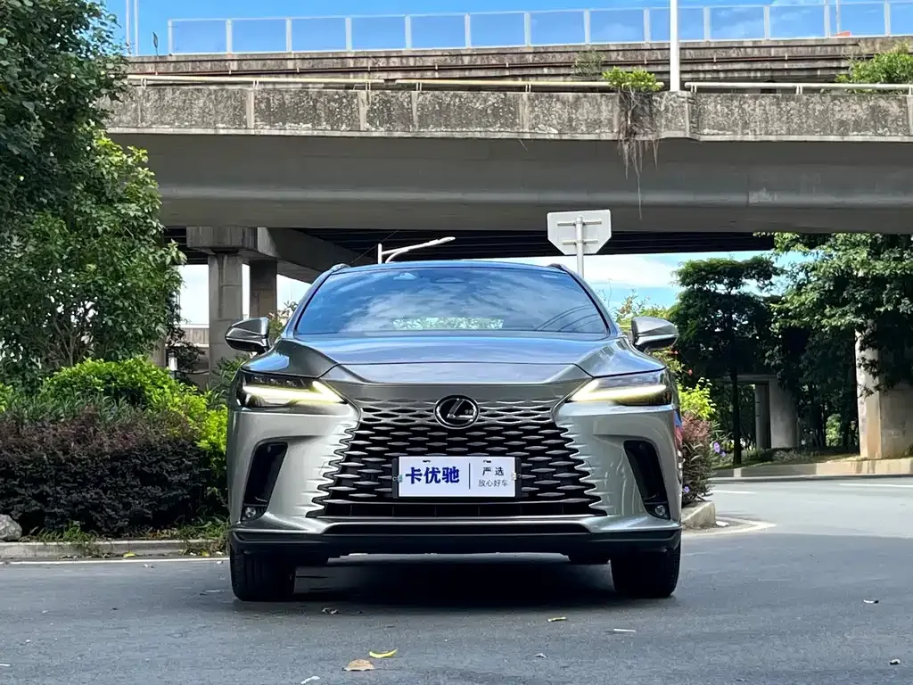 Lexus RX — фото 8