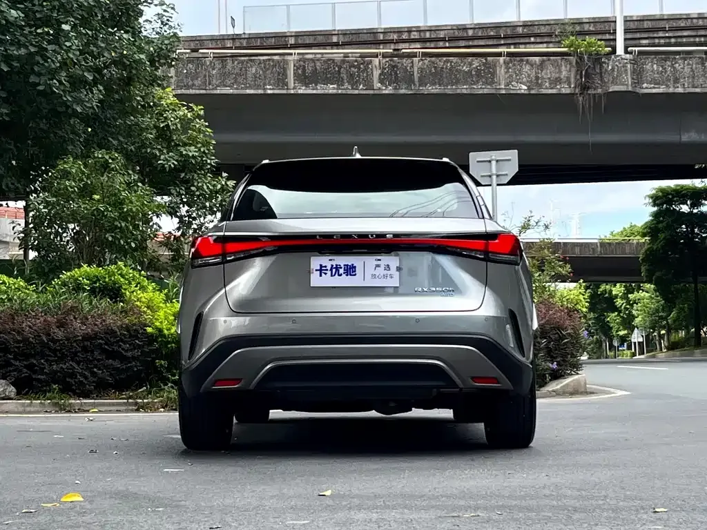 Lexus RX — фото 10