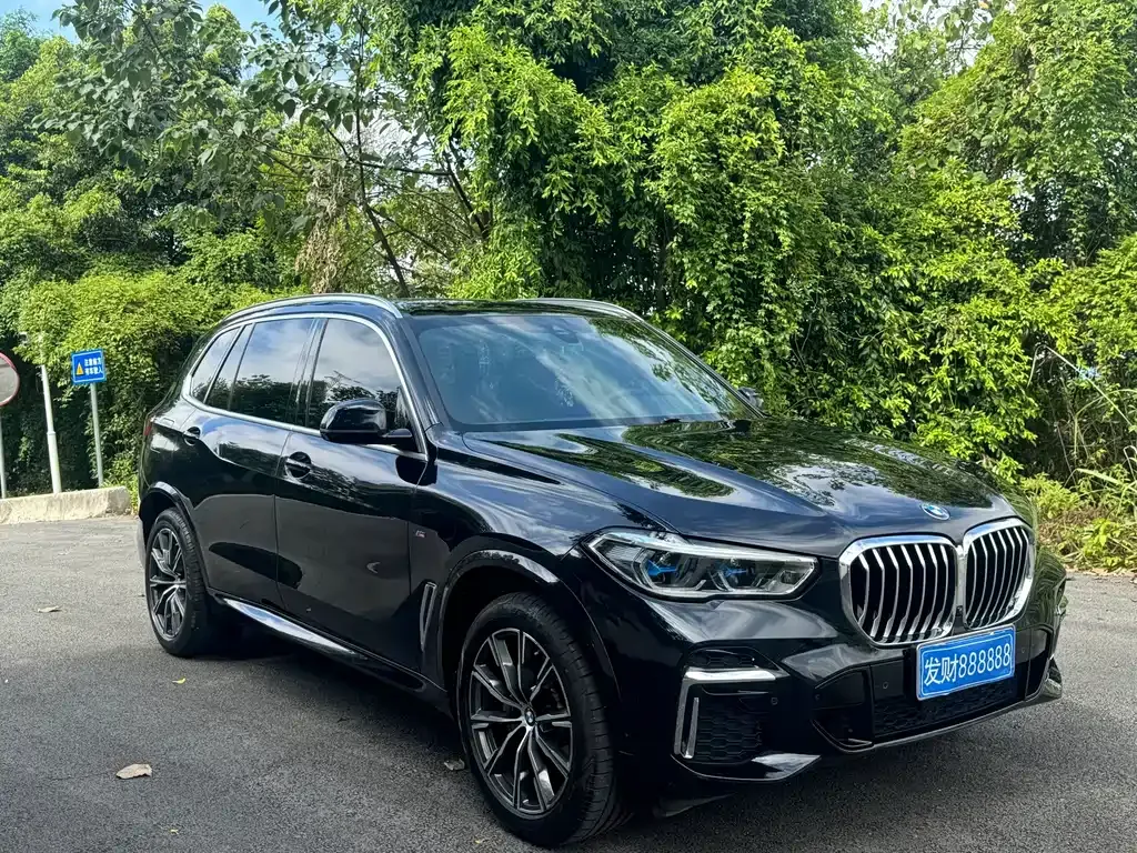 BMW X5 — фото 9
