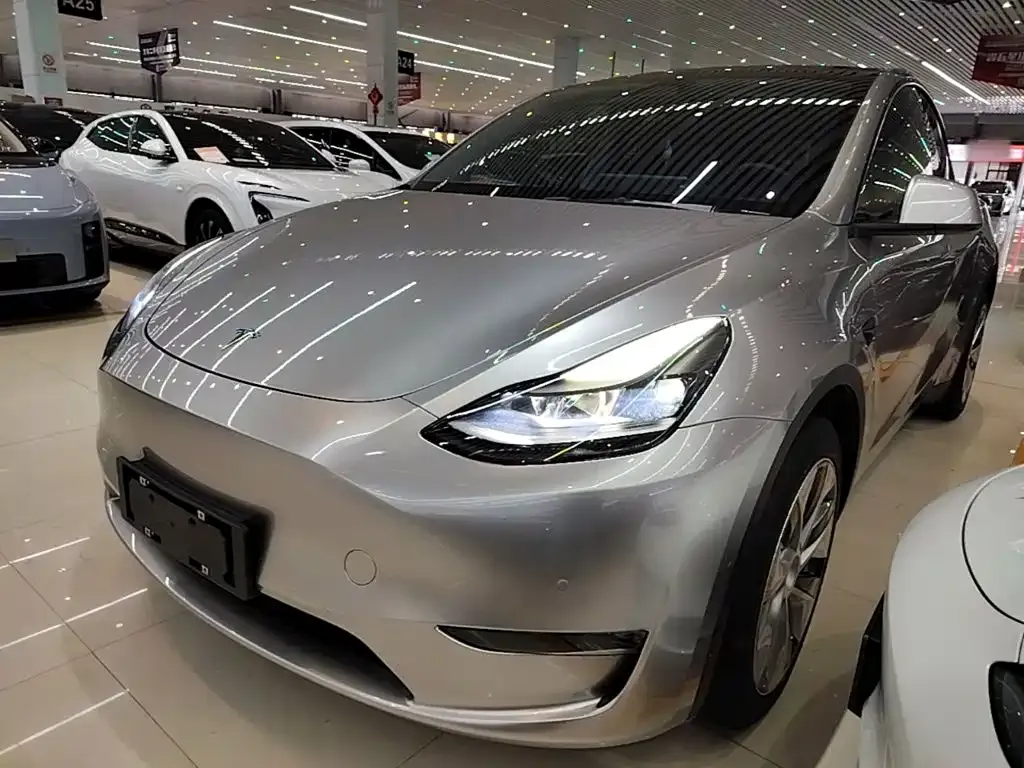 Tesla Model Y — фото 1