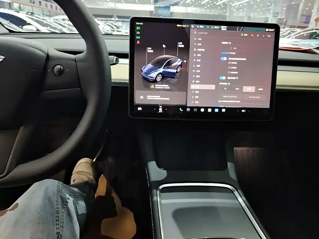 Tesla Model Y — фото 10