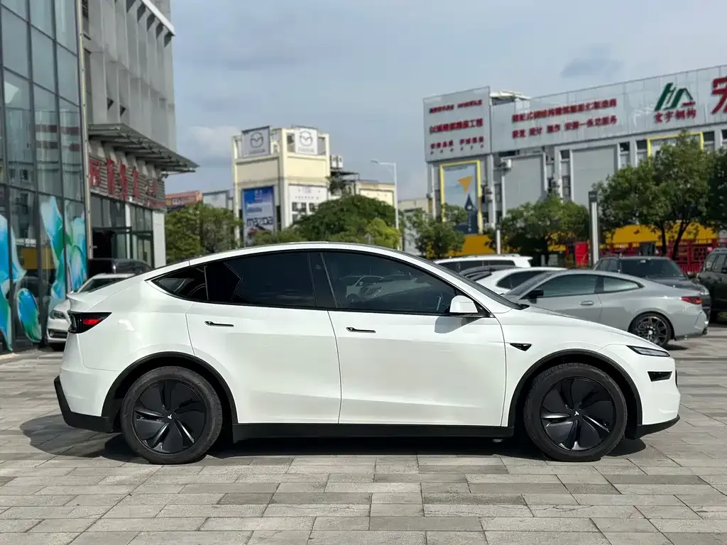 Tesla Model Y — фото 10