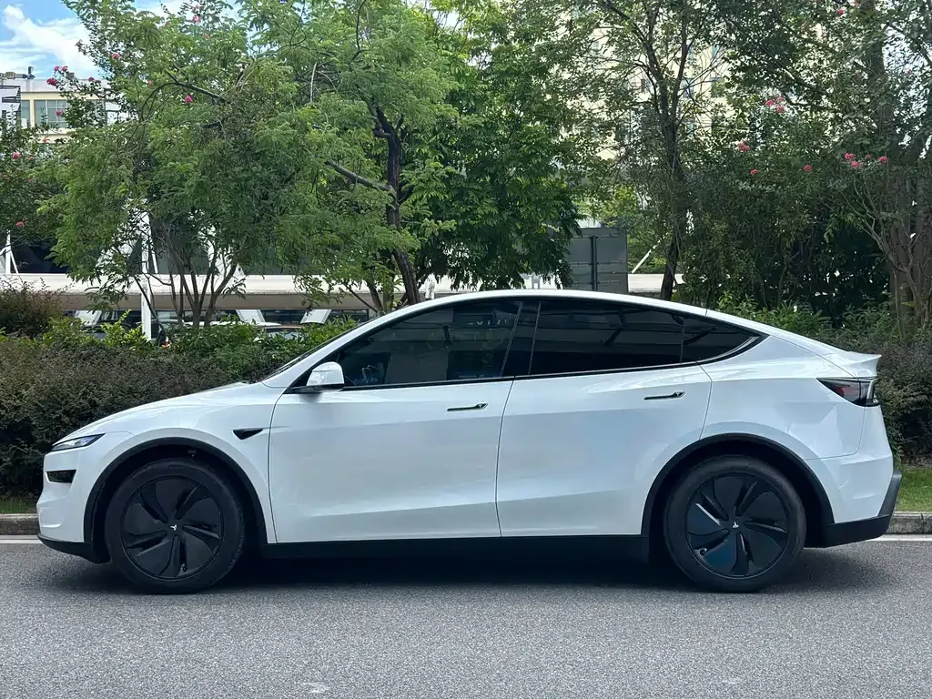 Tesla Model Y — фото 5