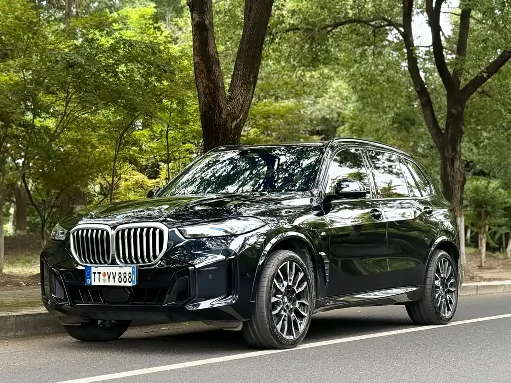 BMW X5 — фото 1