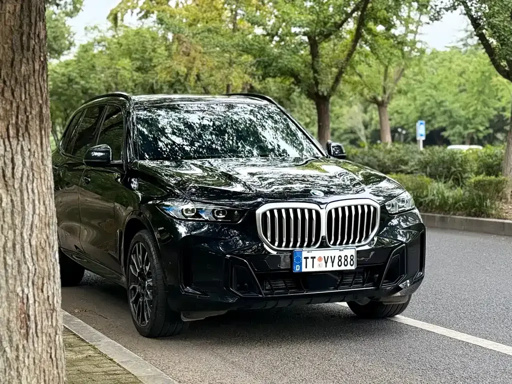 BMW X5 — фото 10