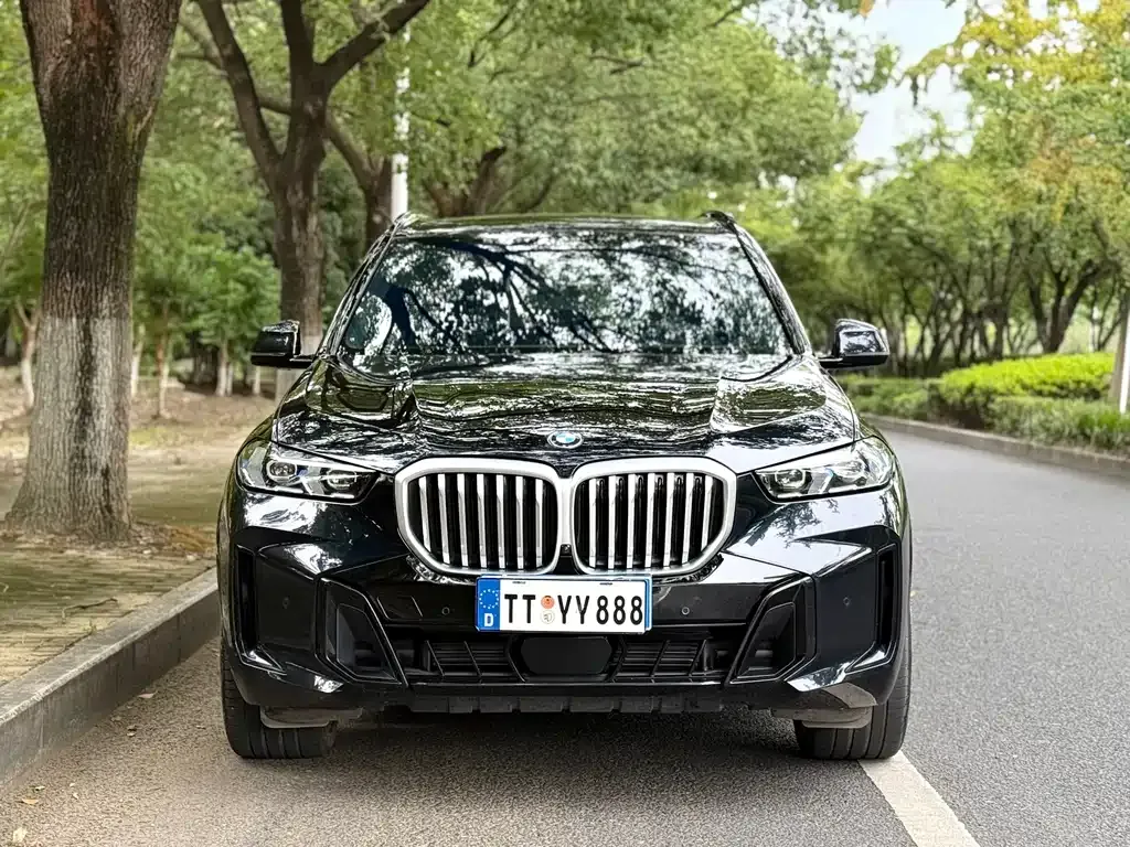 BMW X5 — фото 6