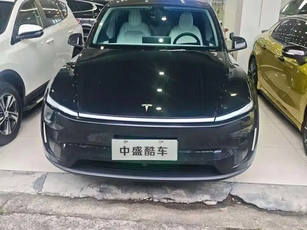 Tesla Model Y — фото 3