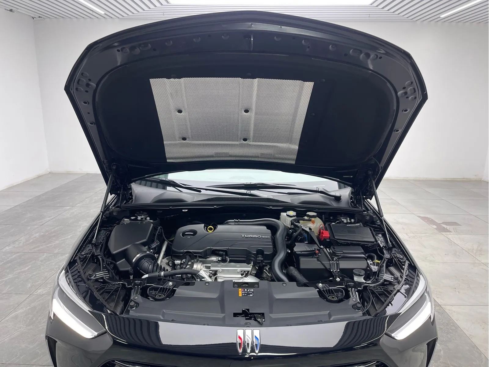 Buick Regal — фото 10