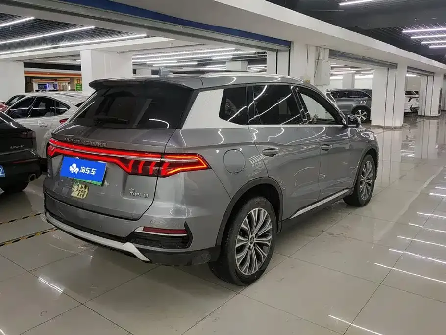 BYD Pro New Energy — фото 10