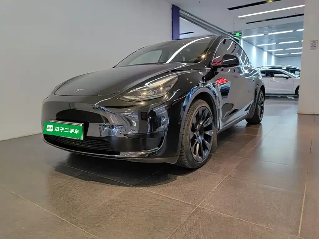 Tesla Model Y — фото 9