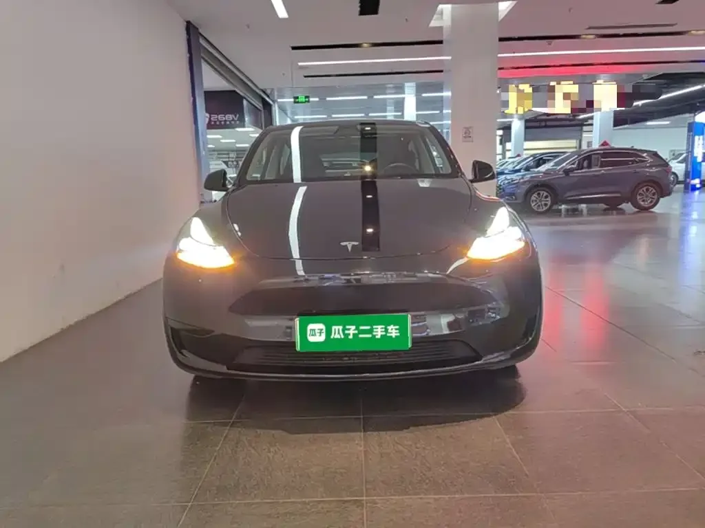 Tesla Model Y — фото 10