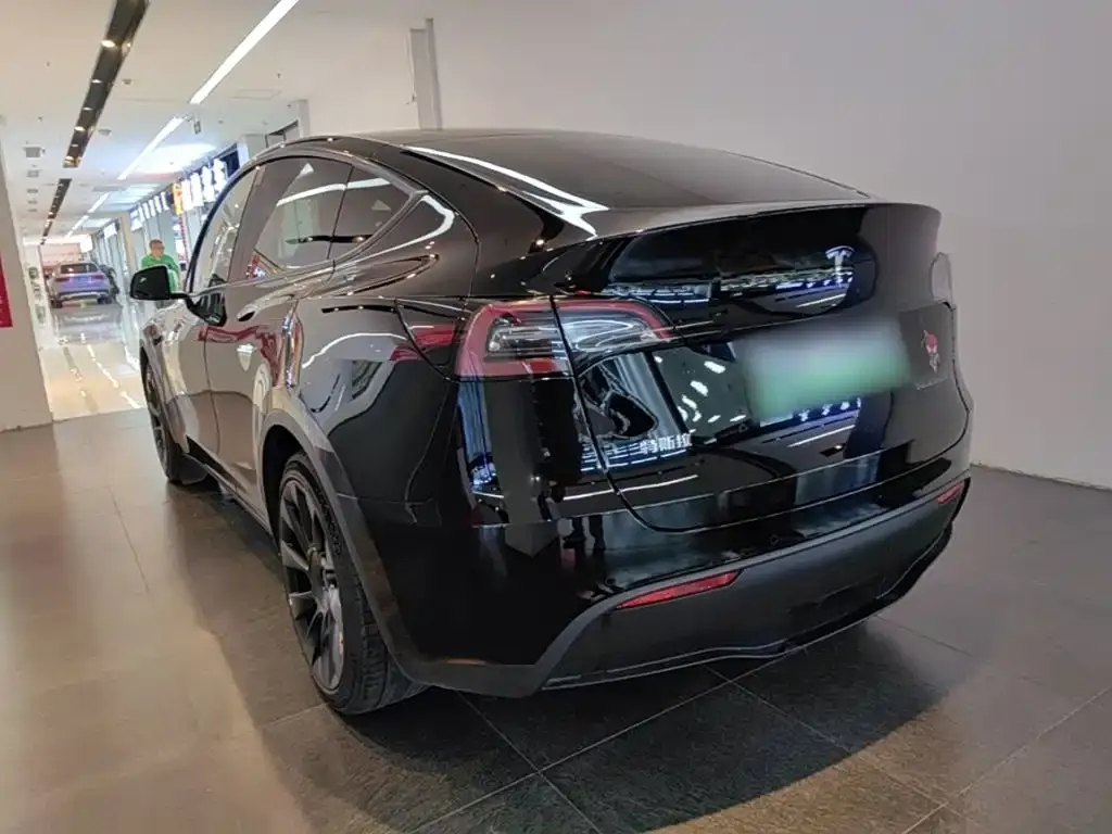 Tesla Model Y — фото 8