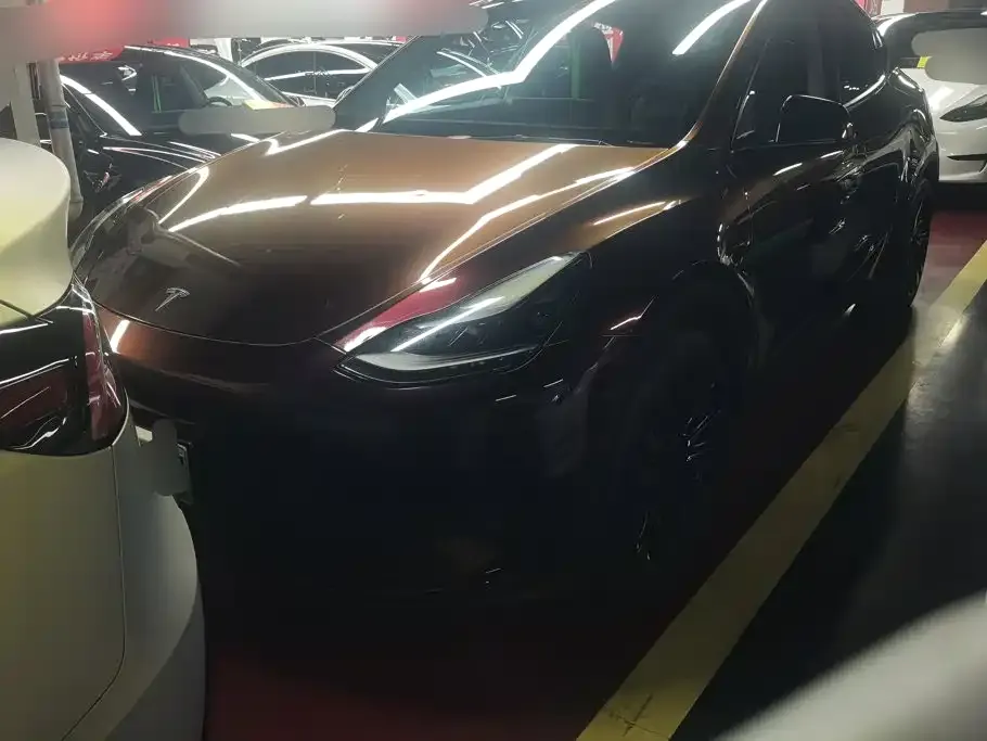 Tesla Model Y — фото 1