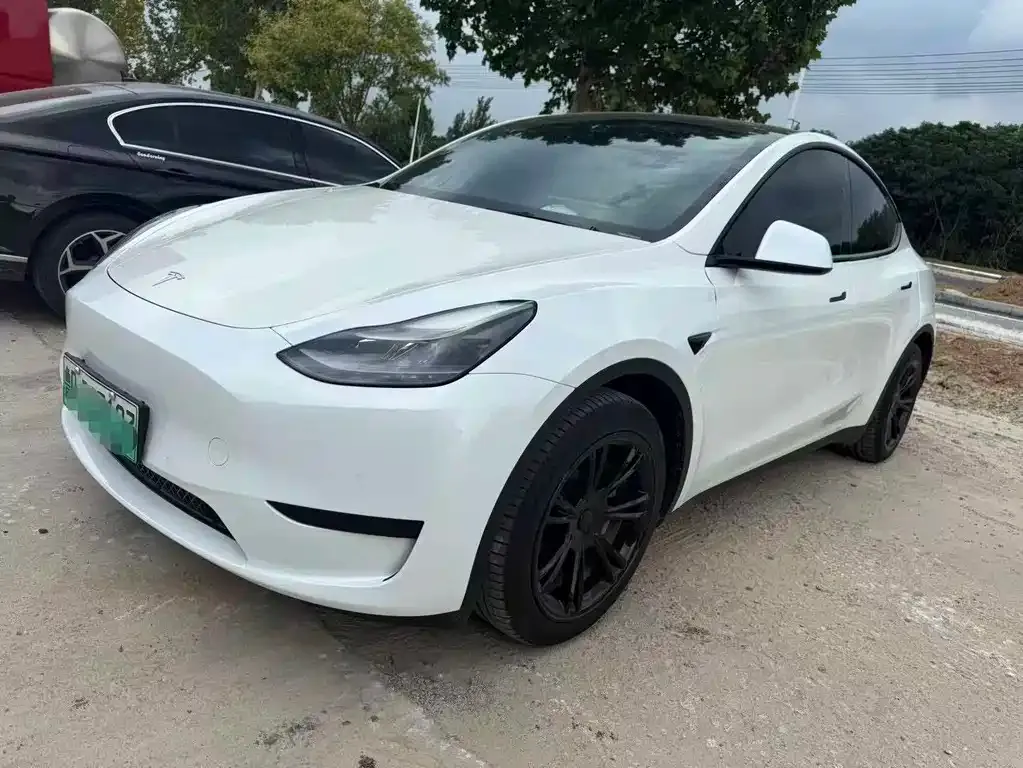 Tesla Model Y — фото 1