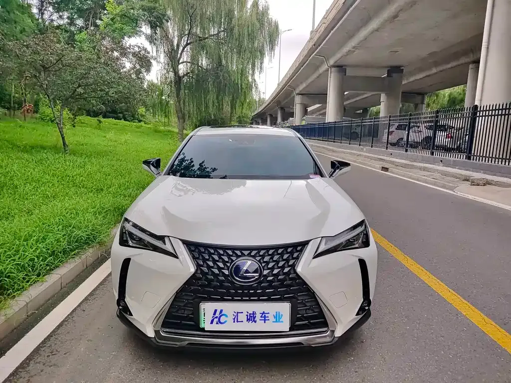 Lexus UX New Energy — фото 5