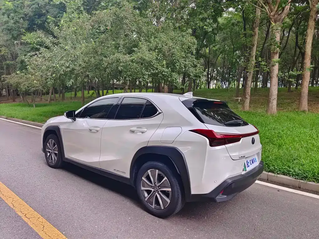 Lexus UX New Energy — фото 6