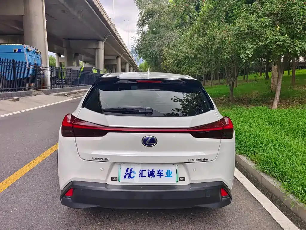 Lexus UX New Energy — фото 8