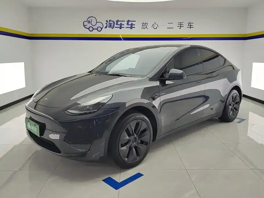 Tesla Model Y — фото 1