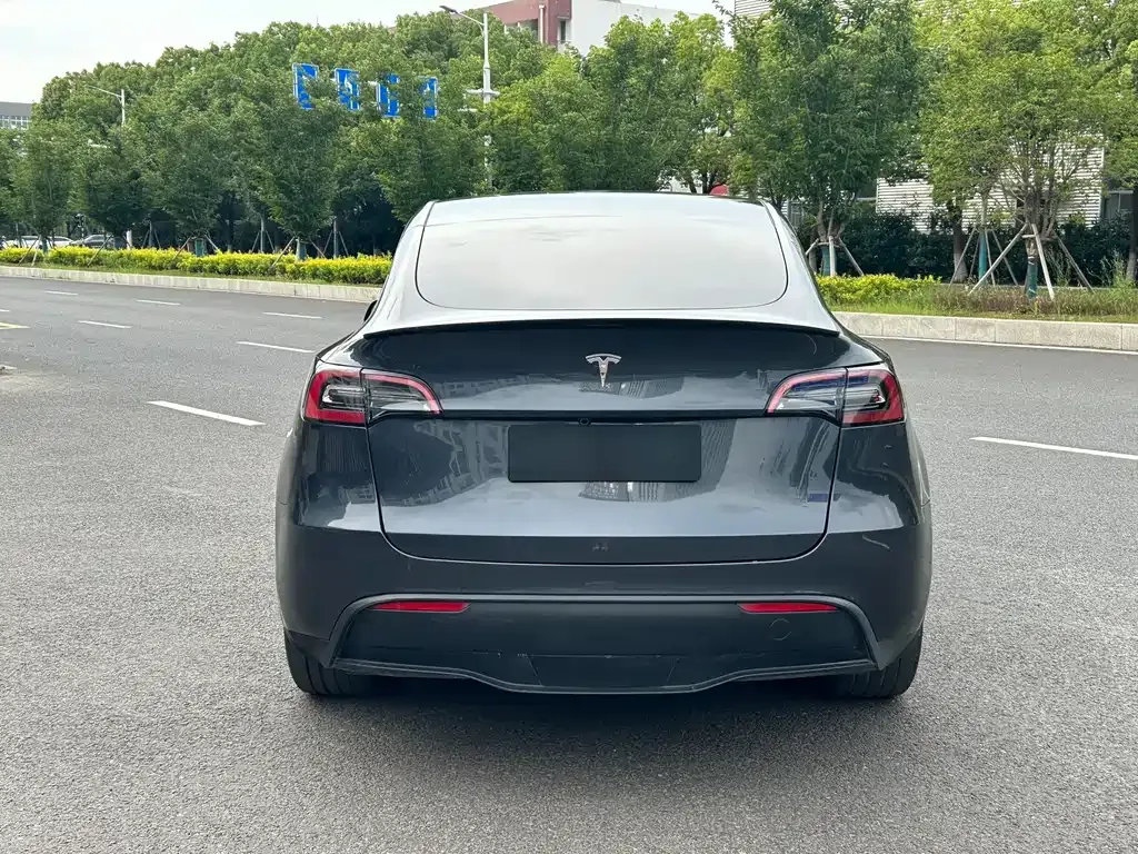 Tesla Model Y — фото 4