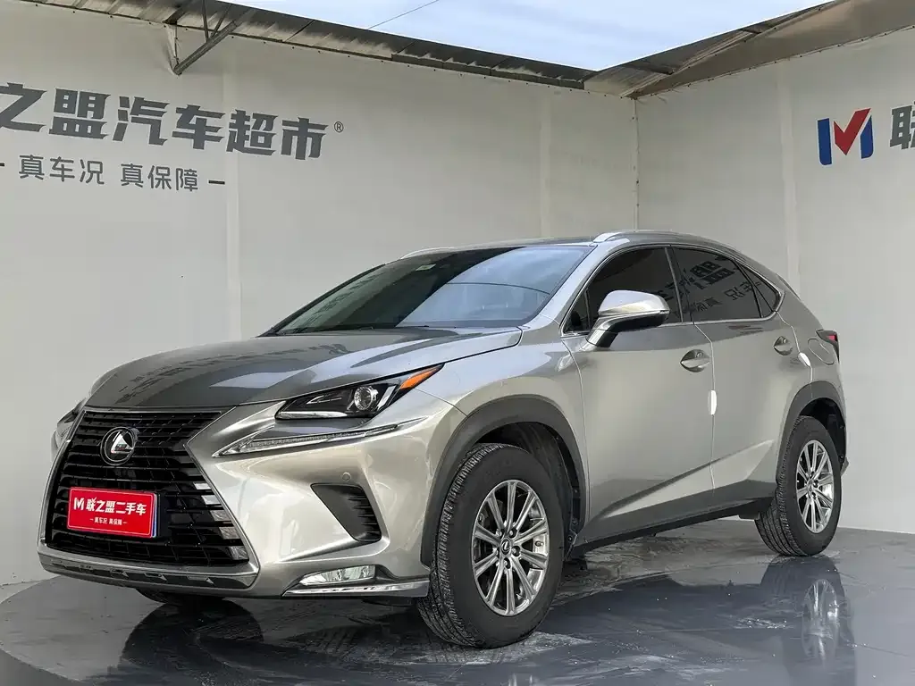 Lexus NX — фото 1