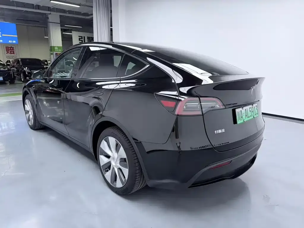 Tesla Model Y — фото 9