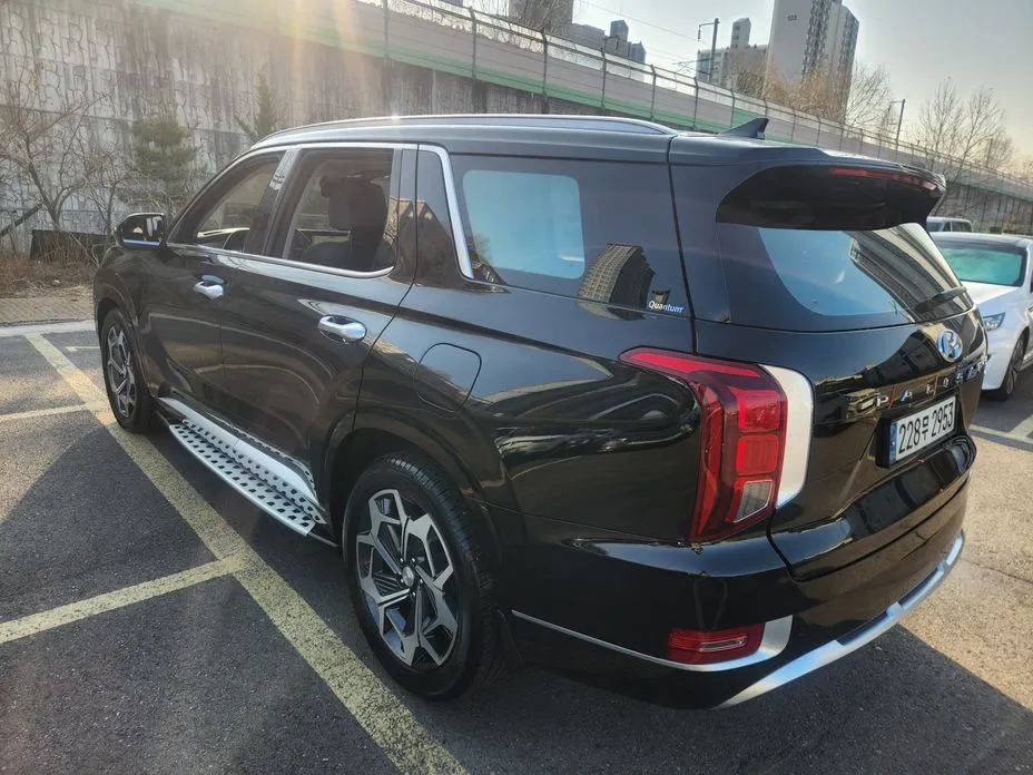 Hyundai Palisade — фото 10