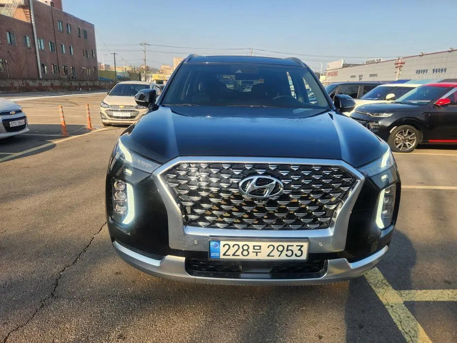 Hyundai Palisade — фото 8