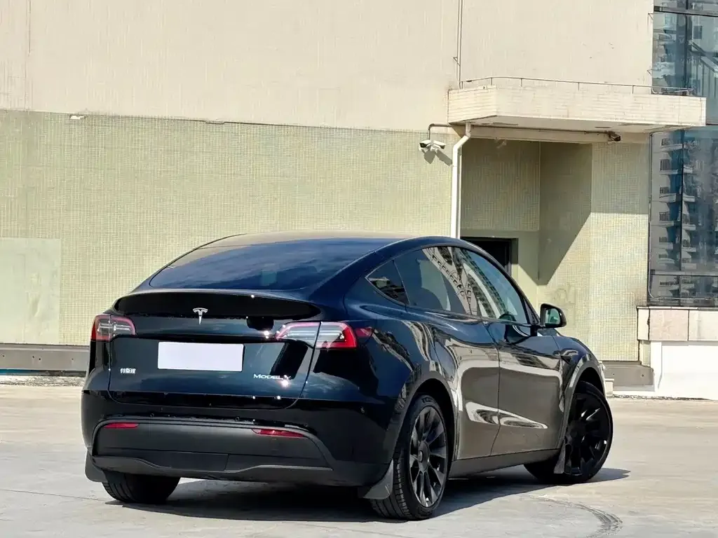 Tesla Model Y — фото 10