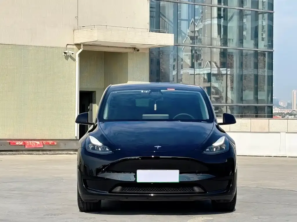 Tesla Model Y — фото 9