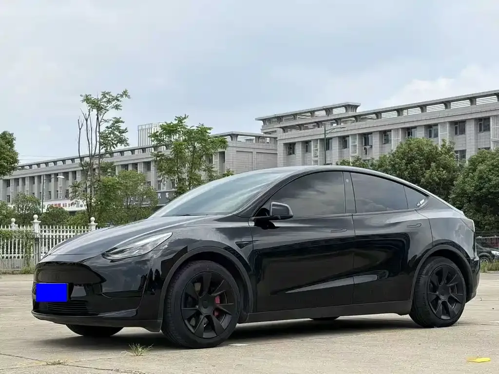 Tesla Model Y — фото 1