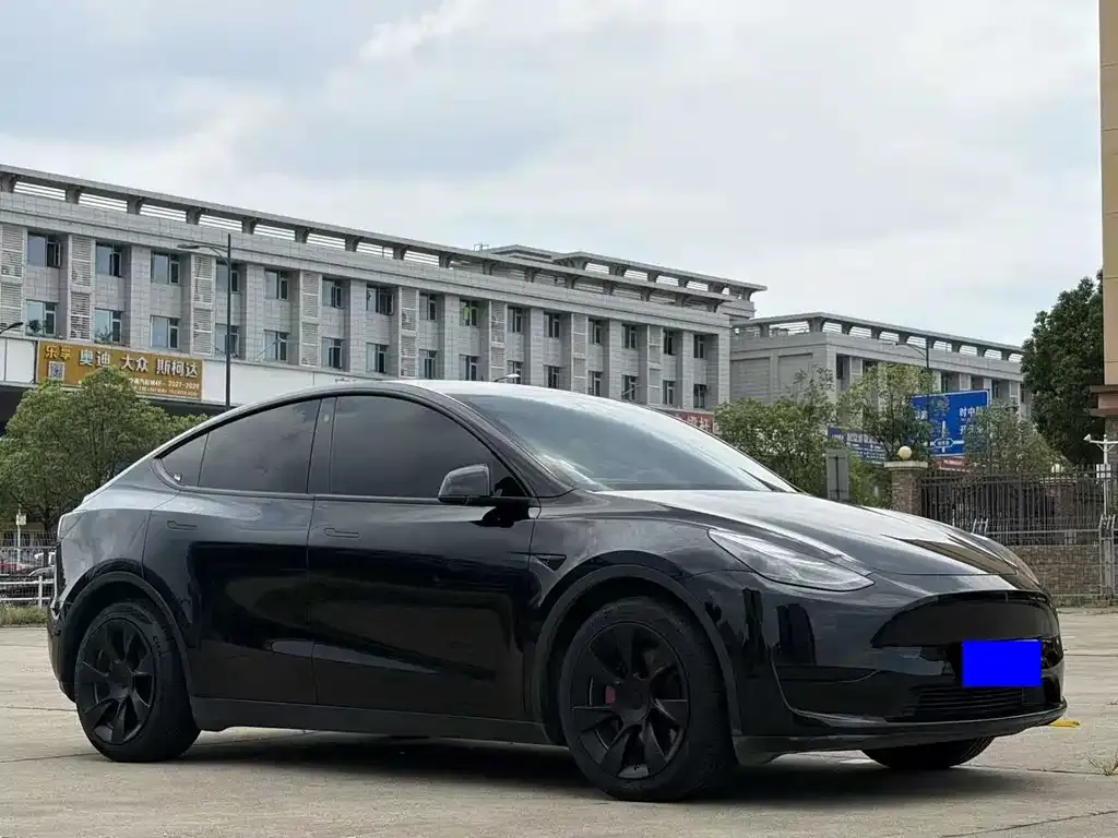 Tesla Model Y — фото 5
