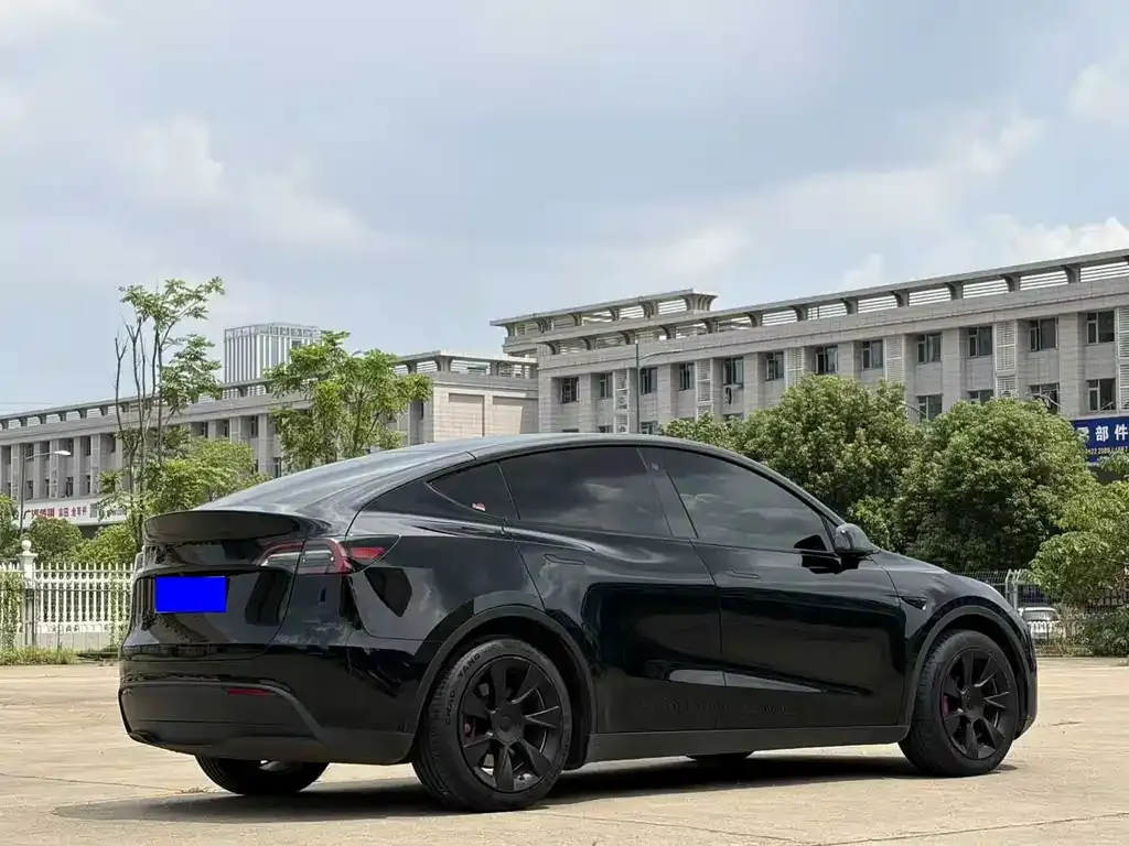 Tesla Model Y — фото 10